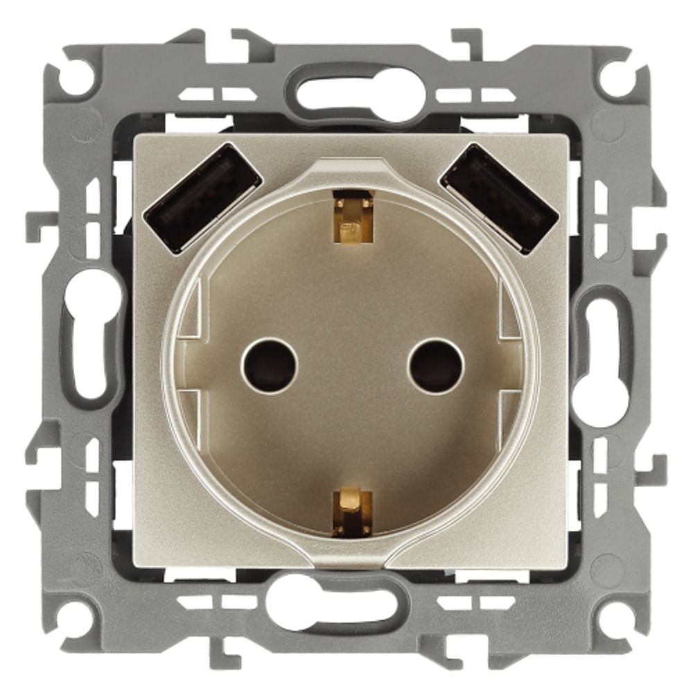 Розетка ЭРА Серия 12 12-4109-04 2P+E 16A-250В штор. с 2xUSB 5В-3А шампань | Эра 12