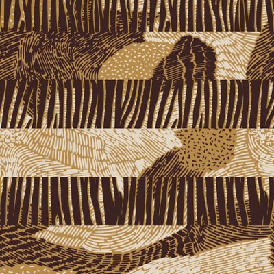 Animal Print with zebra stripes