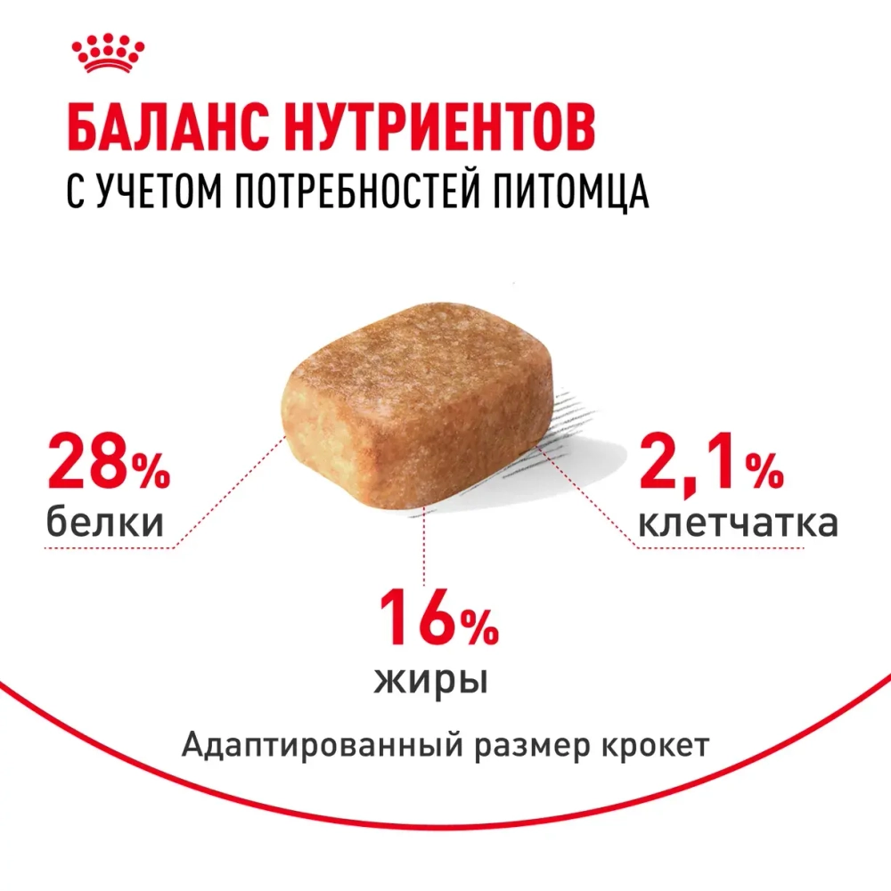 Корм Royal Canin Чихуахуа-28 для собак старше 8 месяцев 500г