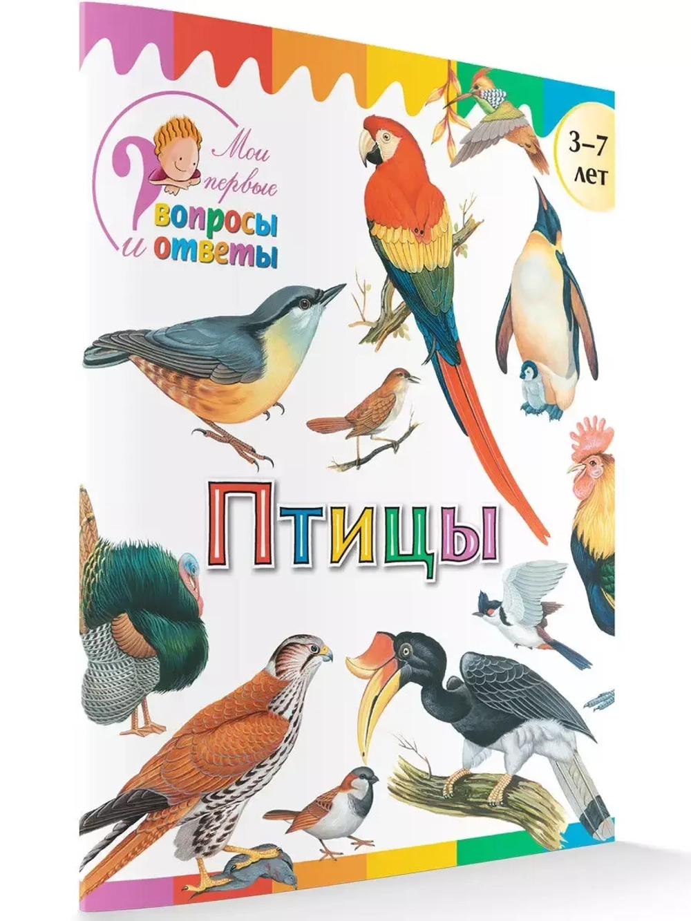 Птицы. Мои первые Вопросы и Ответы