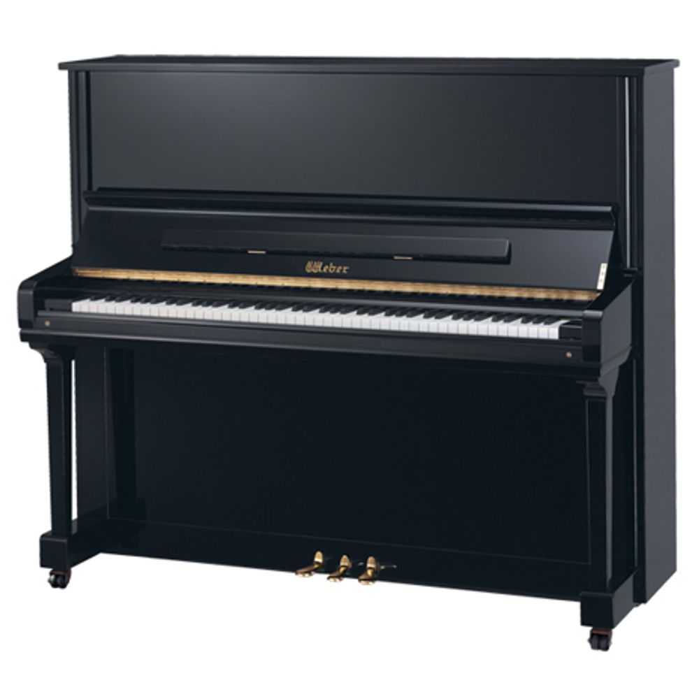 Weber Professional Studio W131
