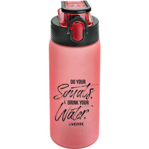 Бутылка "deVENTE. Drink Up" 550 мл