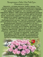 Пеларгония Сладкая жизнь в розовых очках