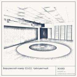 Борцовский ковёр 12х12, трёхцветный — от 264 000 ₽