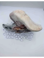 Говяжий язык Аргентина зам. 1.2кг