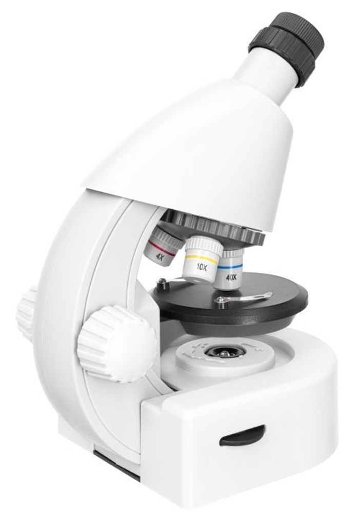 Микроскоп Levenhuk Discovery Micro Polar с книгой
