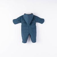 Комбинезон демисезонный стеганый "Чернослив" 0+