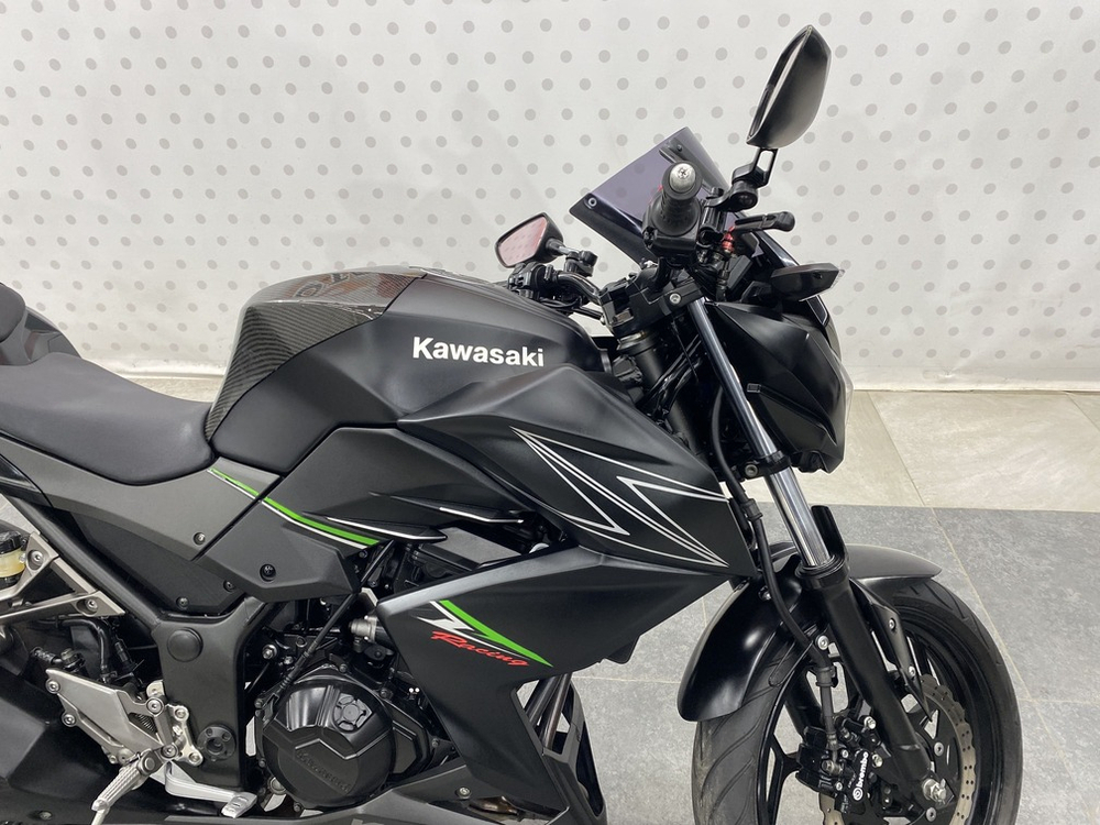 Kawasaki Z250 2013