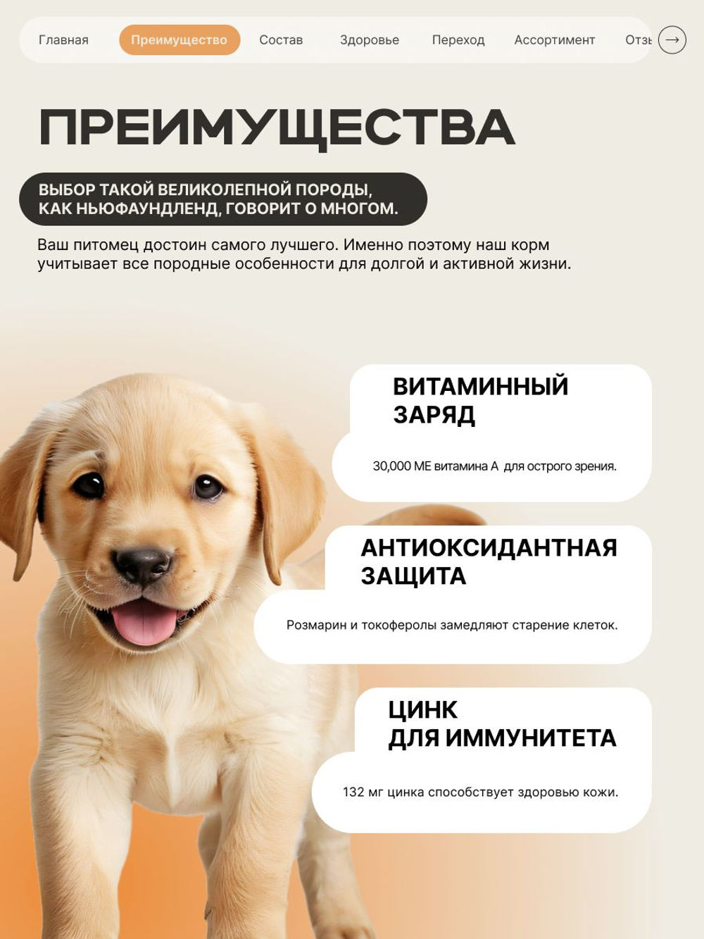 Корм сухой для щенков породы Лабрадор ретривер, с индейкой, 12 кг, QUATTRO