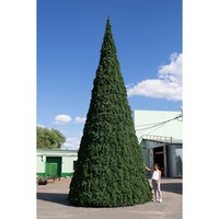 Уличная ёлка Русская 25 м, каркасная, ПВХ, Green Trees