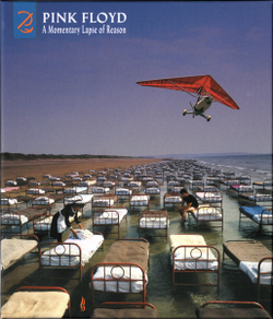 Pink Floyd — A Momentary Lapse Of Reason (CD)