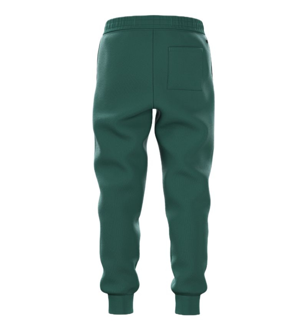 Детские брюки Bj_rn Borg Essential 1 - posy green
