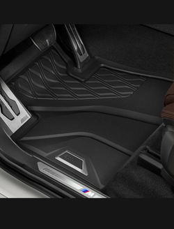 Коврики BMW X6 G06 (4 шт)