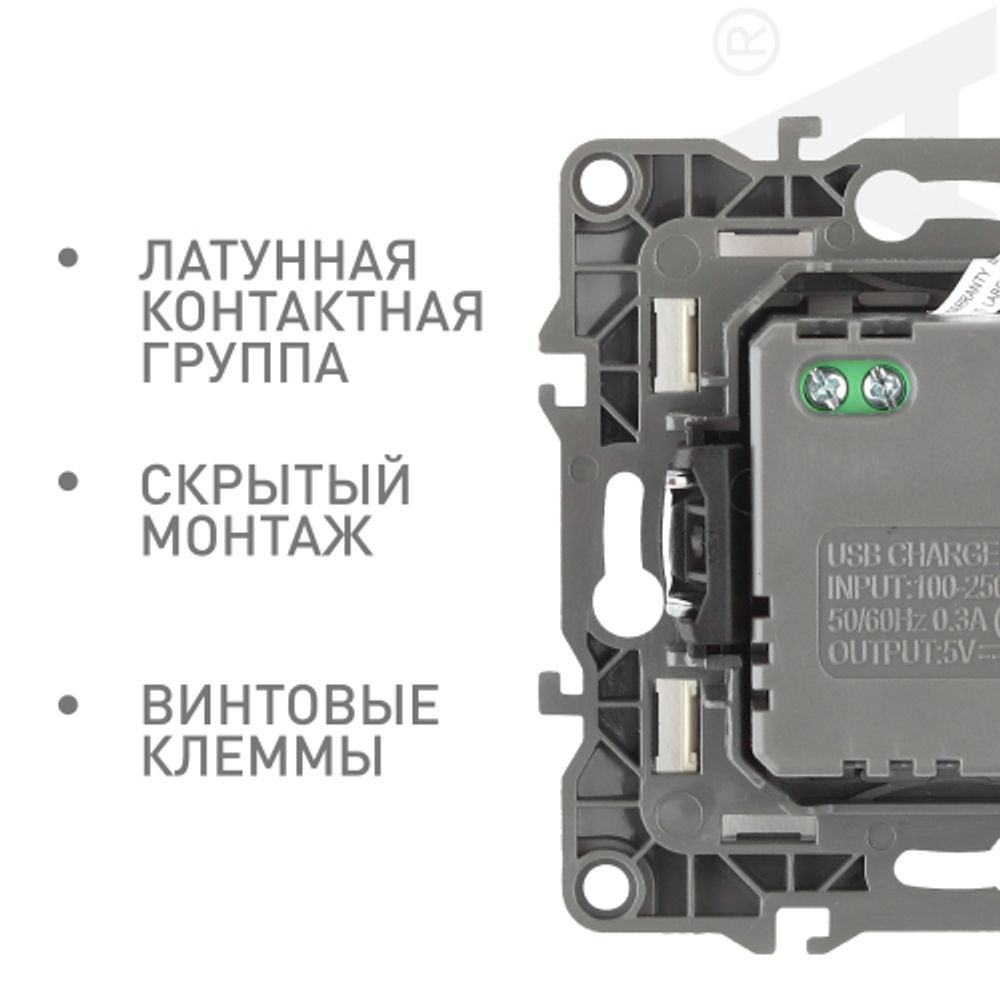 12-4110-04 ЭРА Устройство зарядное USB, 230В/5В-2100мА, IP20, Эра12, шампань | Эра 12
