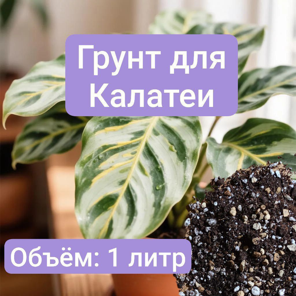 Авторский грунт для Калатеи 1 литр универсальный  грунт для Калатеи