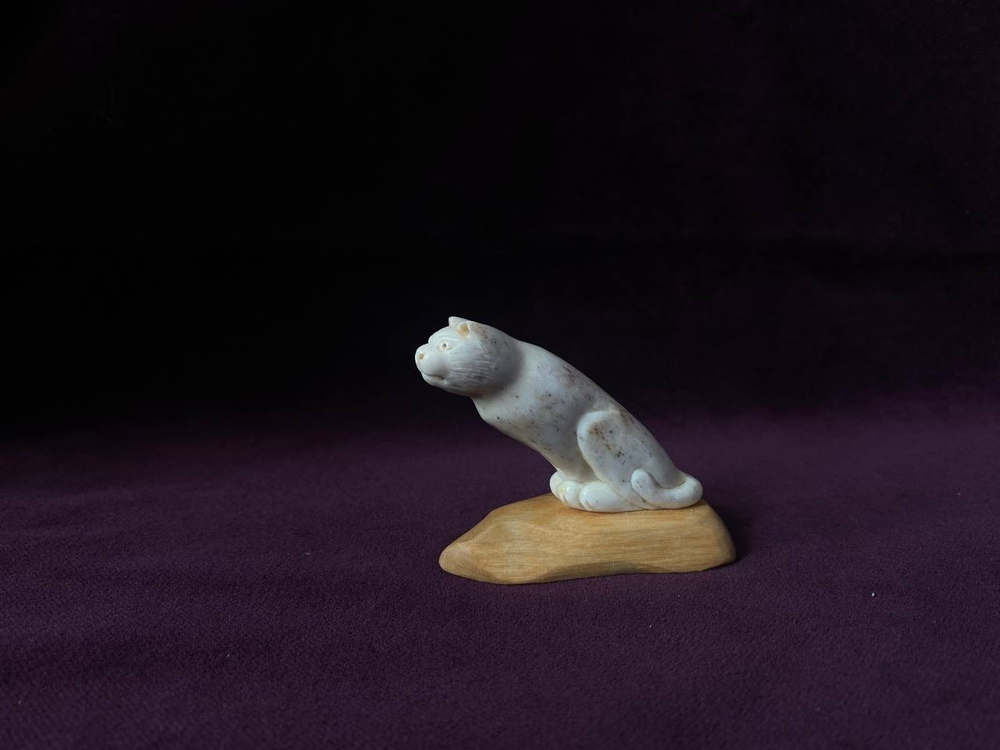 Кот 3