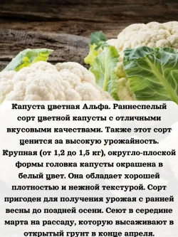 Семена Капуста набор микс 8 шт