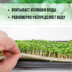 Агровата для выращивания микрозелени набор 20 шт./ 17*10*1,5 см /субстрат для выращивания микрозелени и растений