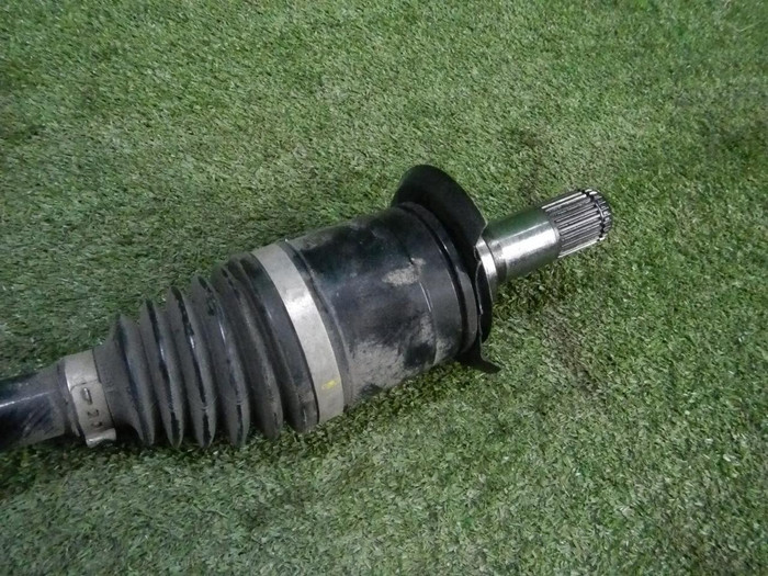 DSCN2368.JPG