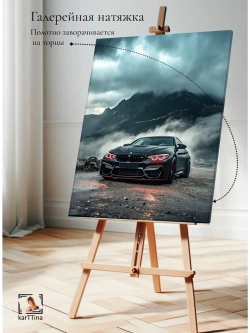 Картина BMW в тумане интерьерная 30х40см 1шт.