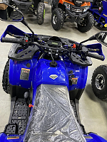 Квадроцикл PROMAX WILD 2.0 190 PRO (2025)