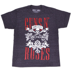 Футболка Guns N’ Roses Appetite for Destruction (444)