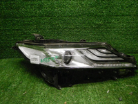 DSCN8520.JPG