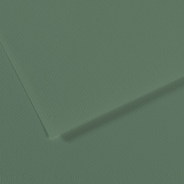 Бумага для пастели Mi-Teintes 160 г/м², A4 21х29.7 см, 25 л, №190 Зеленый шалфей, Canson, C31032S043