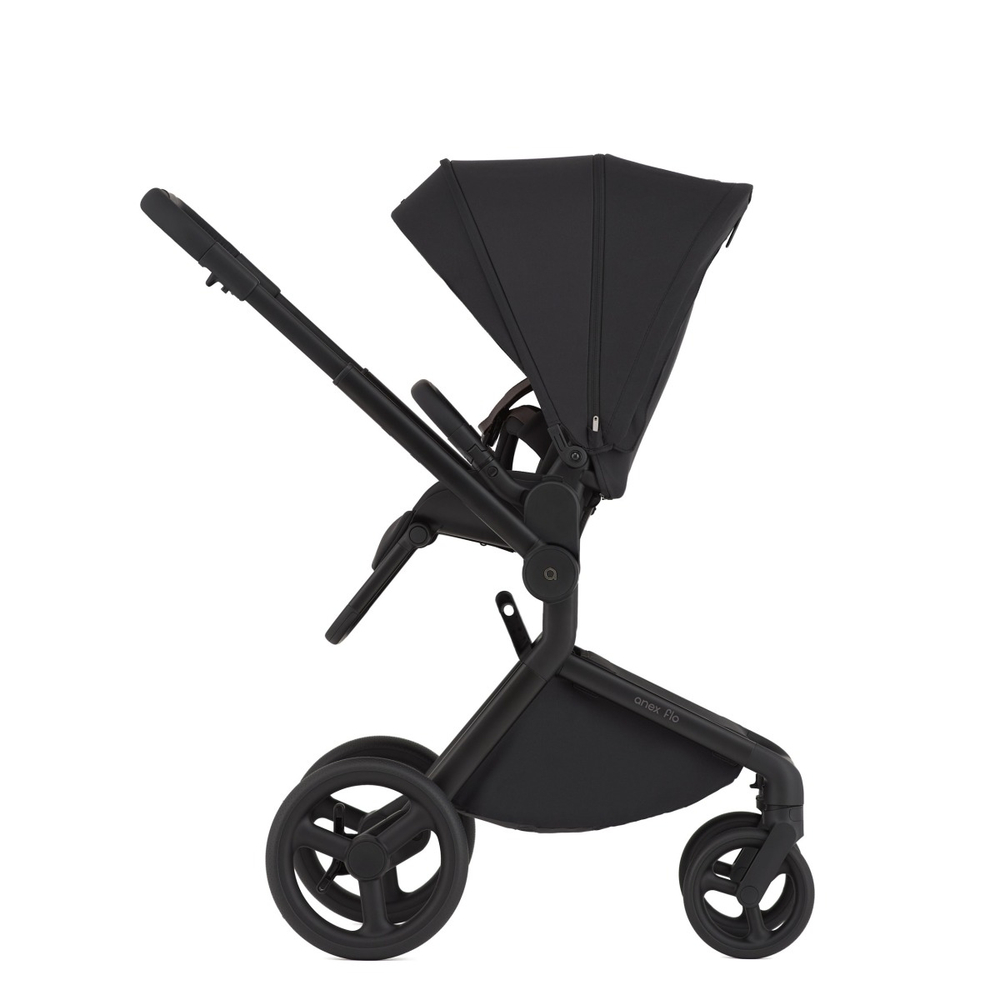 Коляска 2 в 1 ANEX Flo Lungo