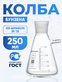 Колба Бунзена 250 мл (с тубусом) 2-250-29/32, со шлифом 29/32