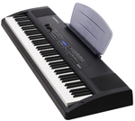 Kurzweil SPS4-8