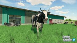 Farming Simulator 22 PS4 | PS5