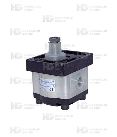 Насос шестеренный 1 GR C2X1T1-B 250 bar