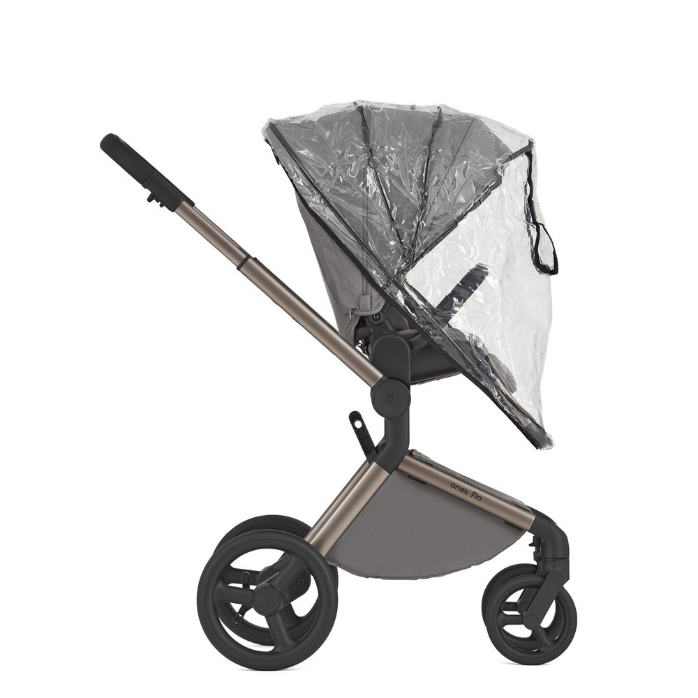 Коляска 2 в 1 ANEX Flo Charm