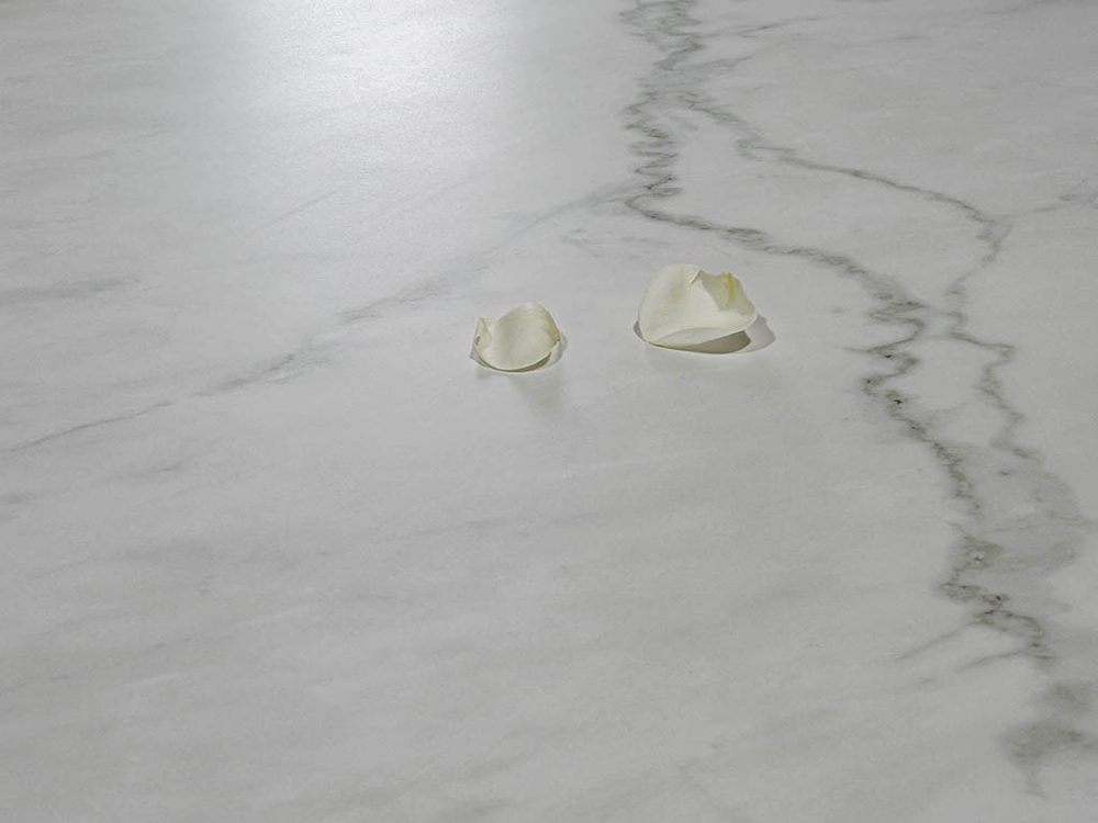 TORANO STATUARIO