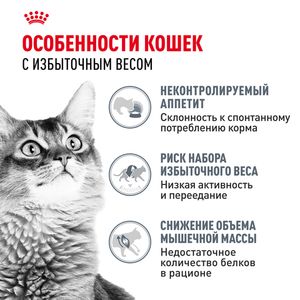 Уценка! Срок 07.07.26/ Пауч Royal Canin Light Weight Care для взрослых кошек, для профилактики избыточного веса, мелкие кусочки в соусе