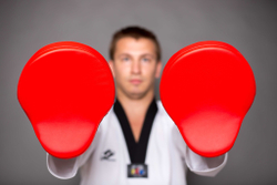 Лапа тренерская ProfSport для Тхэквондо