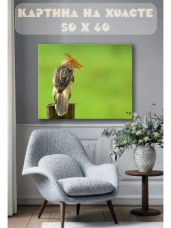 Картина на стену 40 X 50 Птица