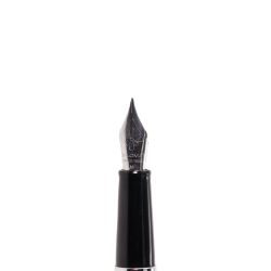 Перьевая ручка Diplomat Traveller stainless steel M (D10059004) 2