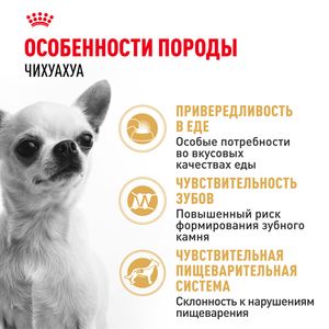 Сухой корм Royal Canin Chihuahua Adult для взрослых собак породы Чихуахуа от 8 месяцев