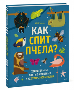 Как спит пчела? Удивительные факты о животных и их суперспособностях