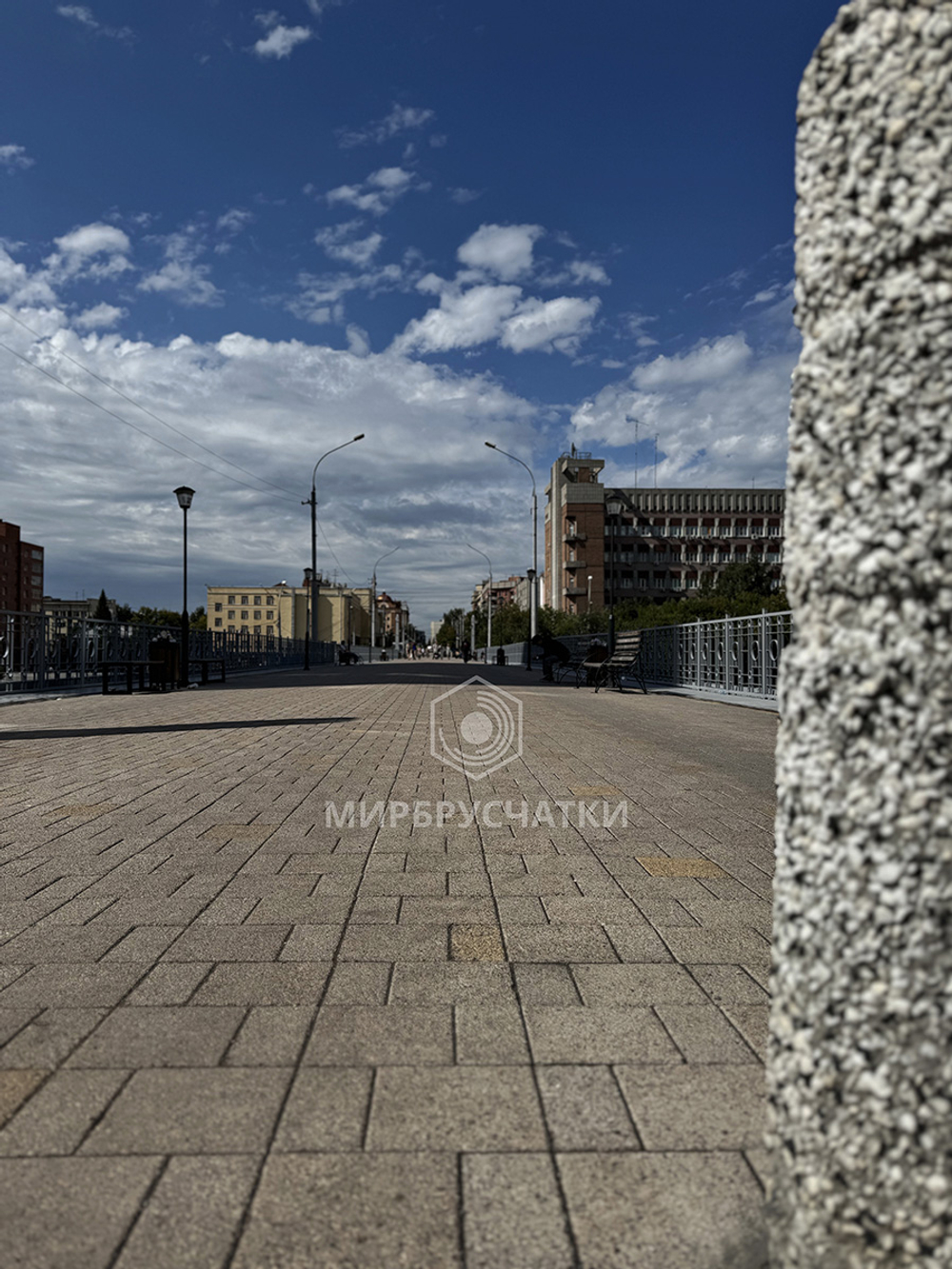 Сибревкомовский мост, г. Новосибирск