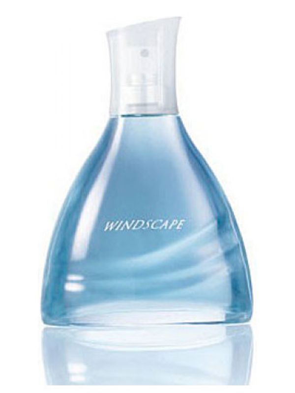 Avon Windscape for Him