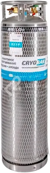 Вертикальный криоцилиндр CRYOBAK DPL450-210-2,88 (3,2)