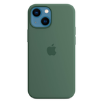 Силиконовый чехол с поддержкой MagSafe Apple Silicone Case для iPhone 13 mini, Eucalyptus (Эвкалипт)