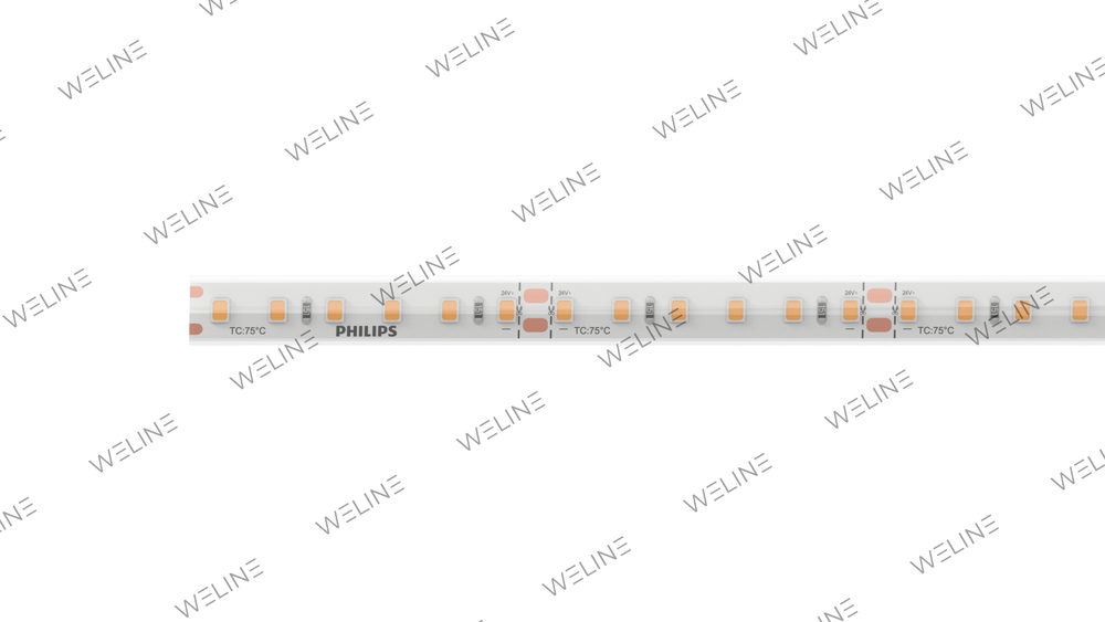 Светодиодная лента герметичная IP44 LS155-5M-12W-2835-1150LM 830 8 мм. 24V (12 W/m, IP44, 2835, 5 м.) (Philips)