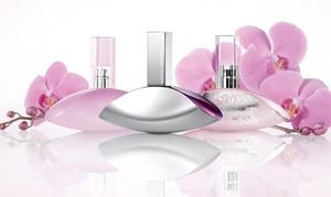 Calvin Klein Euphoria Blossom