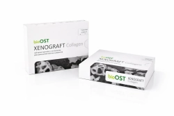 Кортикально-губчатые гранулы XENOGRAFT Collagen