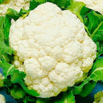 Гохан F1 семена капусты цветной (Syngenta / Сингента)
