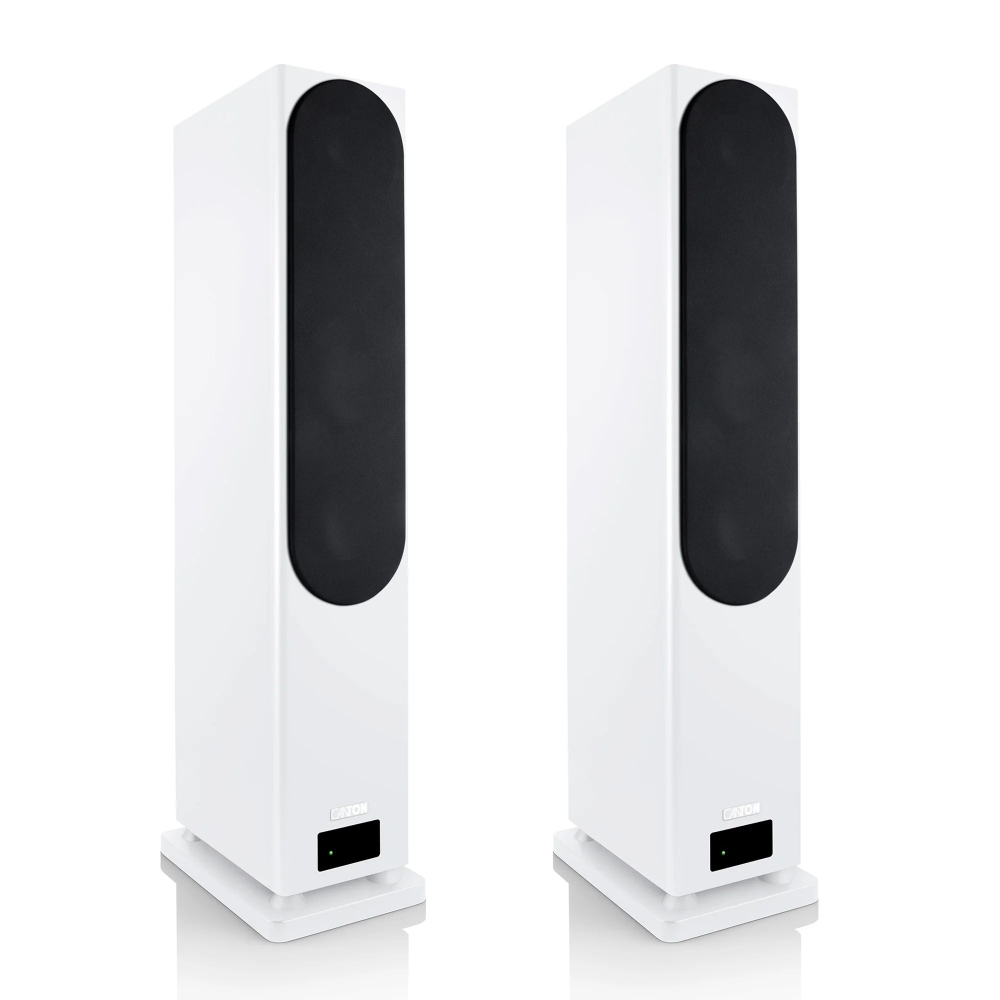 Напольная акустика Canton Smart Townus 8